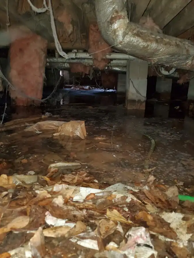 Crawl space flood assessment for Leak Detection & Repair in Jasper